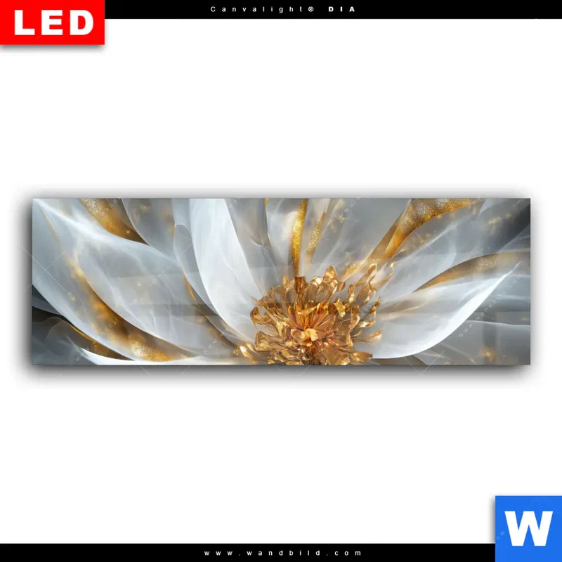 Wechselmotiv Acrylglas Canvalight® DIA | Zarte Luxusblüte | Panorama