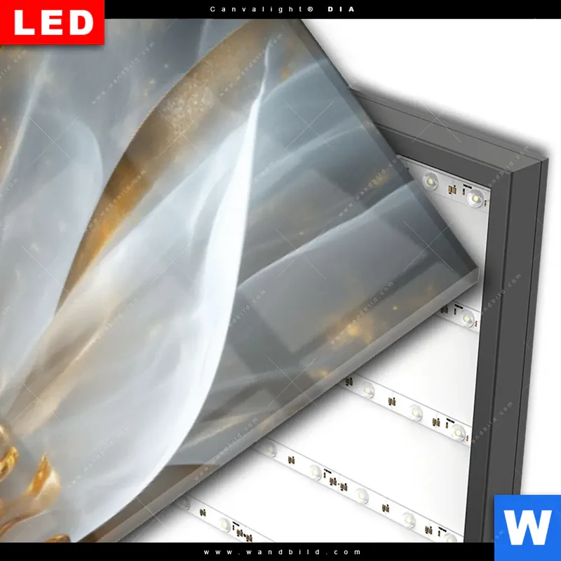 Wechselmotiv Acrylglas Canvalight® DIA | Zarte Luxusblüte | Panorama