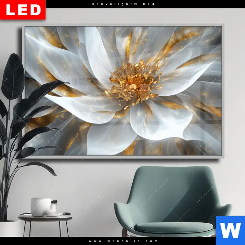 Wechselmotiv Acrylglas Canvalight® DIA | Zarte Luxusblüte | Querformat