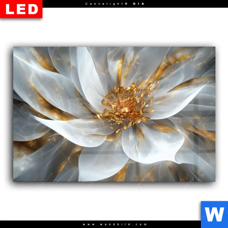 Wechselmotiv Acrylglas Canvalight® DIA | Zarte Luxusblüte | Querformat