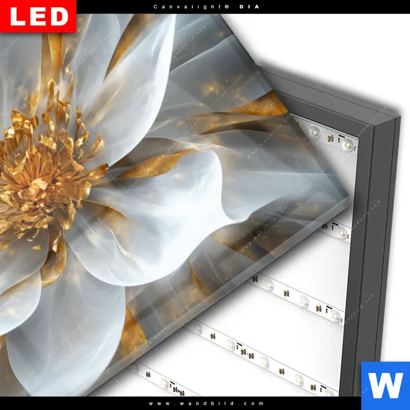 Wechselmotiv Acrylglas Canvalight® DIA | Zarte Luxusblüte | Querformat