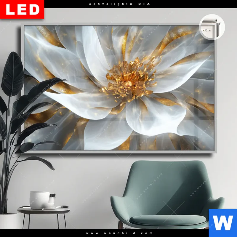 Leuchtbild Acrylglas Canvalight® DIA | Zarte Luxusblüte | Querformat