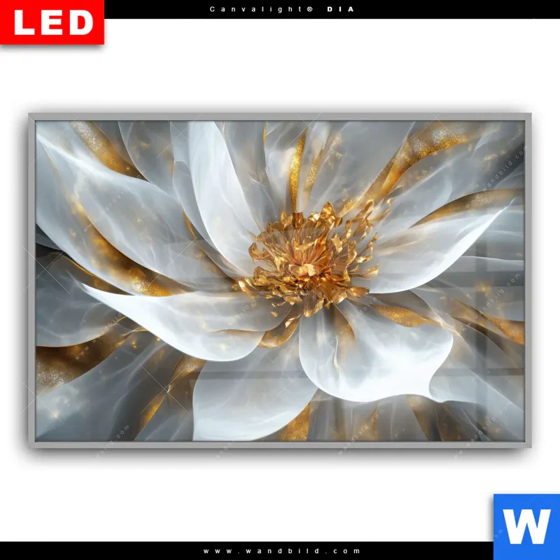 Leuchtbild Acrylglas Canvalight® DIA | Zarte Luxusblüte | Querformat