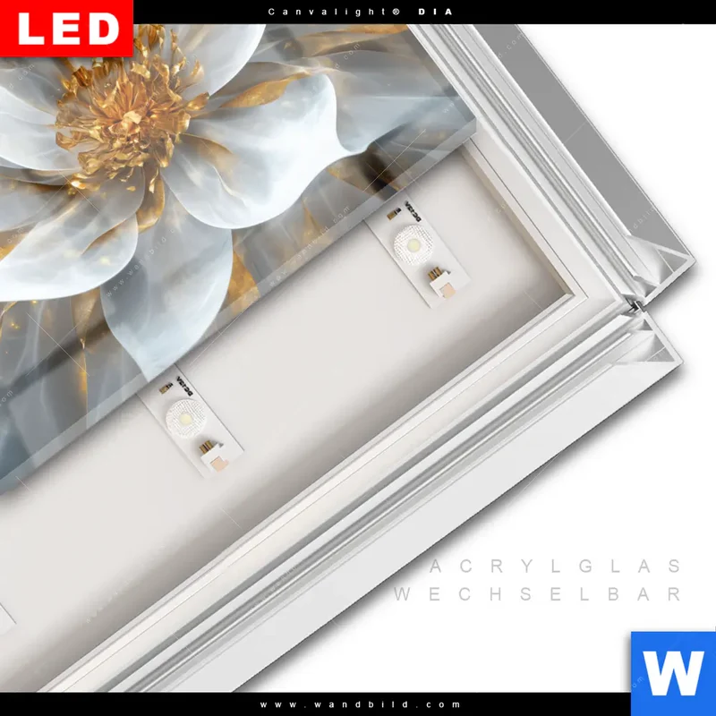 Leuchtbild Acrylglas Canvalight® DIA | Zarte Luxusblüte | Querformat