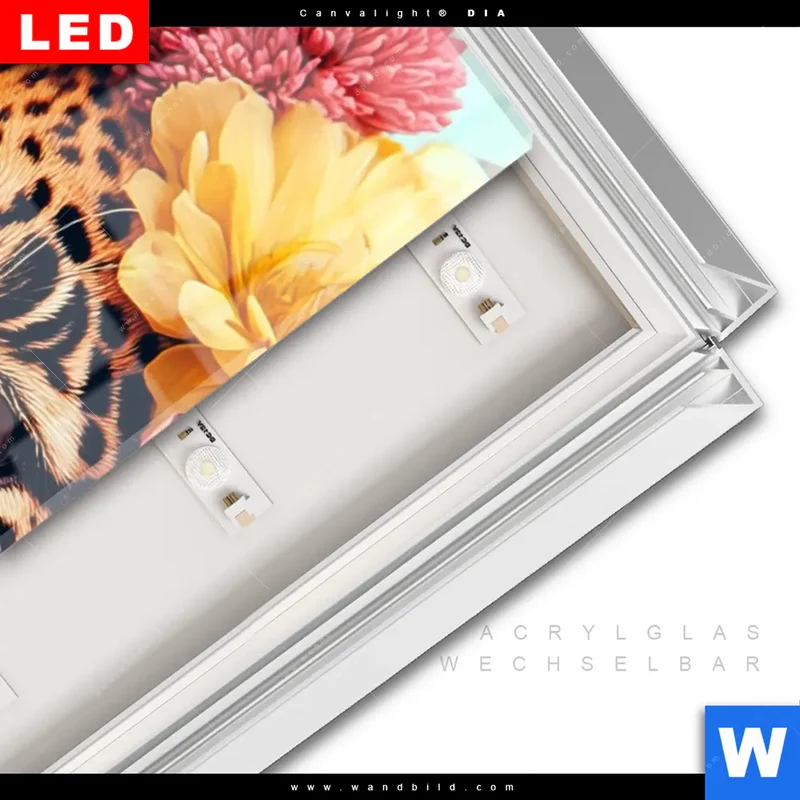 Leuchtbild Acrylglas Canvalight® DIA | Leopard mit Blütenkranz | Schmal