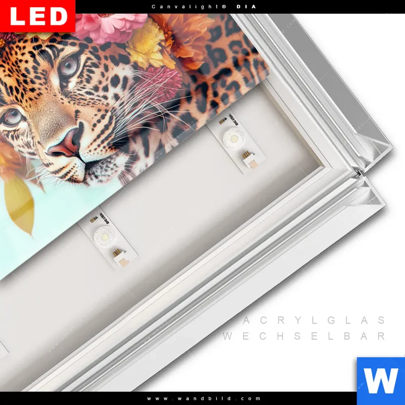 Leuchtbild Acrylglas Canvalight® DIA | Leopard mit Blütenkranz | Querformat