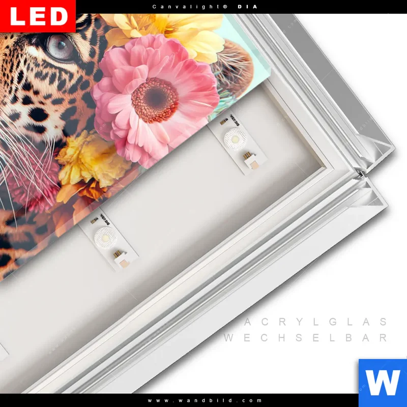 Leuchtbild Acrylglas Canvalight® DIA | Leopard mit Blütenkranz | Quadrat