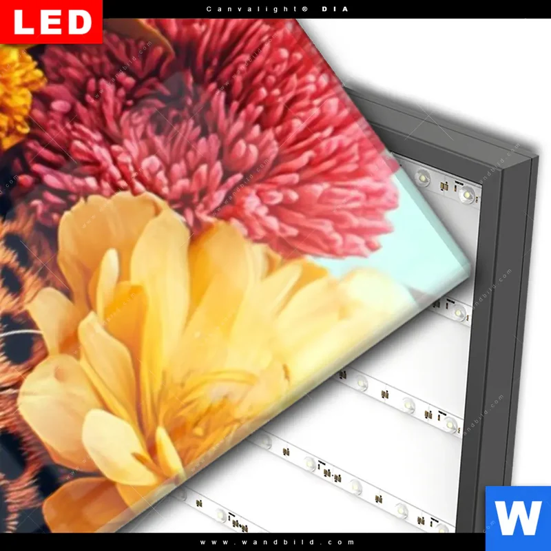 Wechselmotiv Acrylglas Canvalight® DIA | Leopard mit Blütenkranz | Schmal