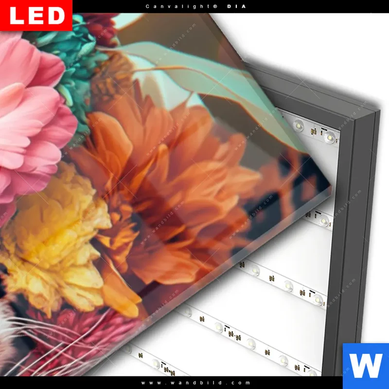 Wechselmotiv Acrylglas Canvalight® DIA | Leopard mit Blütenkranz | Panorama