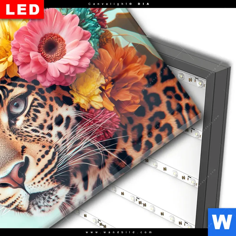 Wechselmotiv Acrylglas Canvalight® DIA | Leopard mit Blütenkranz | Querformat