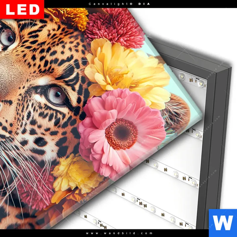 Wechselmotiv Acrylglas Canvalight® DIA | Leopard mit Blütenkranz | Quadrat