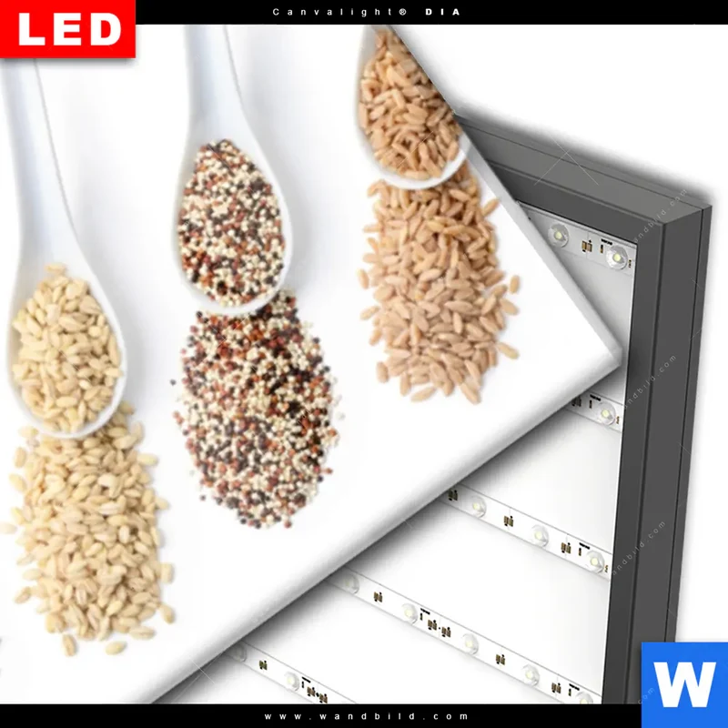 Wechselmotiv Acrylglas Canvalight® DIA | Vielfalt im Löffel | Panorama