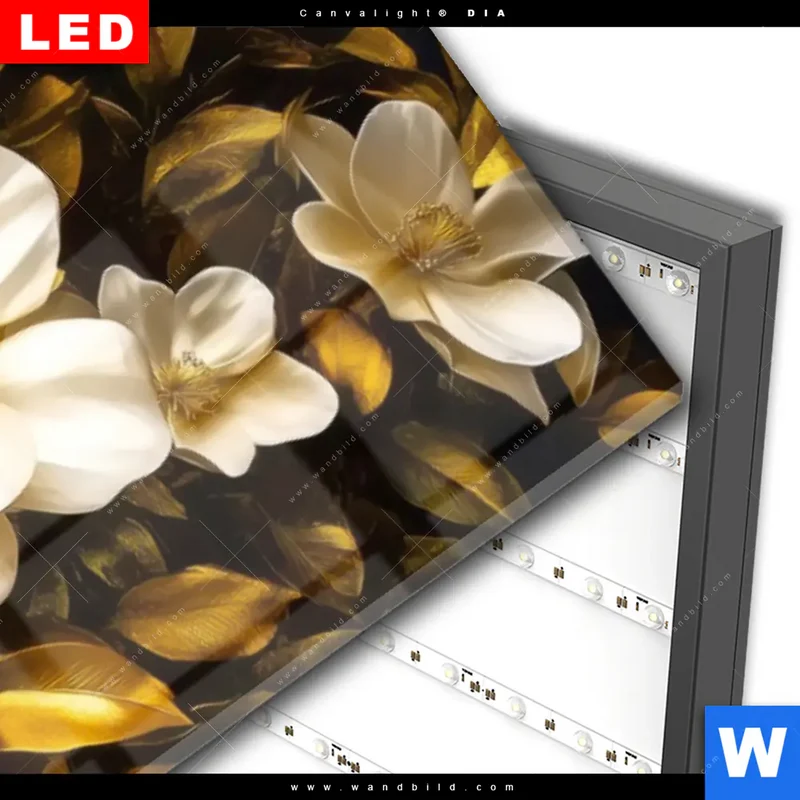 Wechselmotiv Acrylglas Canvalight® DIA | Blütenbaum im Luxusdesign | Panorama