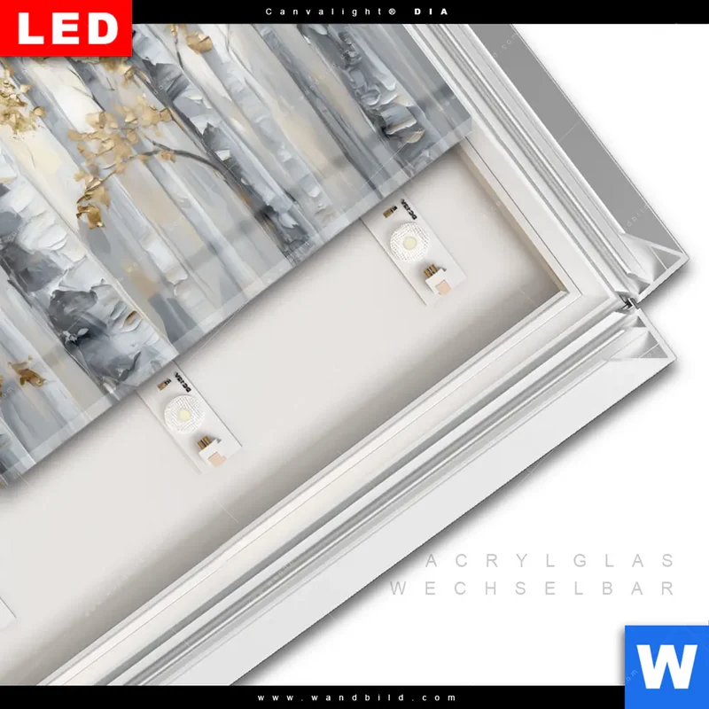 Leuchtbild Acrylglas Canvalight® DIA | Stille im Wald | Querformat