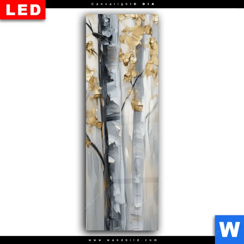 Wechselmotiv Acrylglas Canvalight® DIA | Stille im Wald | Schmal