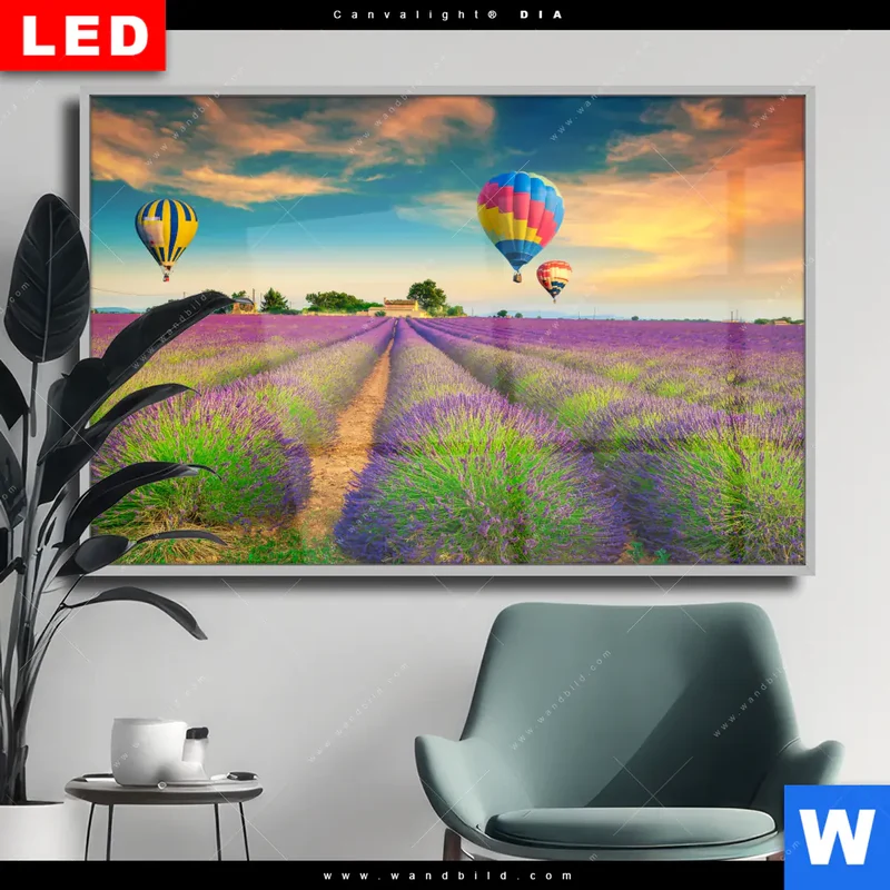 Wechselmotiv Acrylglas Canvalight® DIA | Heißluftballons über violetten Feldern | Querformat
