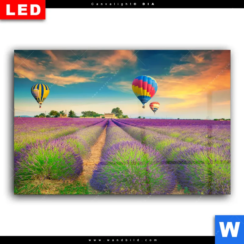 Wechselmotiv Acrylglas Canvalight® DIA | Heißluftballons über violetten Feldern | Querformat