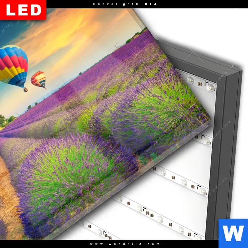 Wechselmotiv Acrylglas Canvalight® DIA | Heißluftballons über violetten Feldern | Querformat