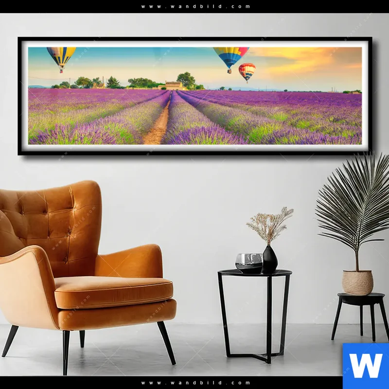 Poster | Heißluftballons über violetten Feldern | Panorama