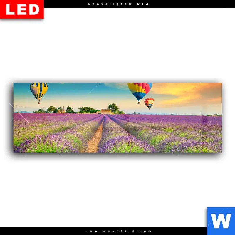 Wechselmotiv Acrylglas Canvalight® DIA | Heißluftballons über violetten Feldern | Panorama