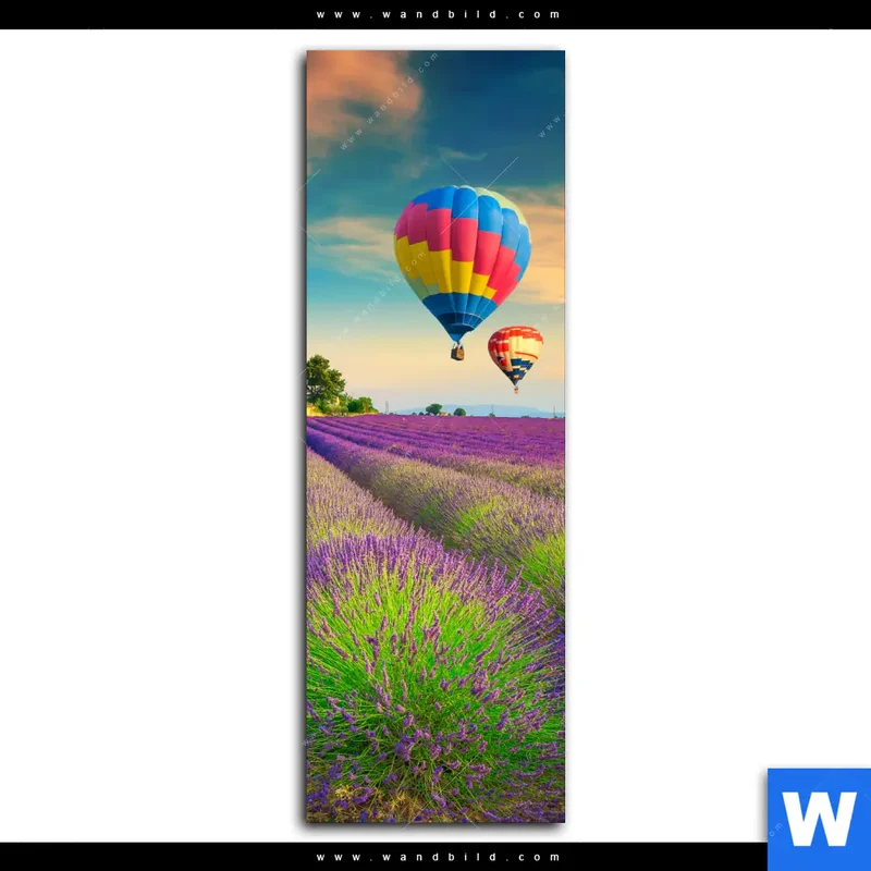 Alu-Dibond Bild | Heißluftballons über violetten Feldern | Schmal