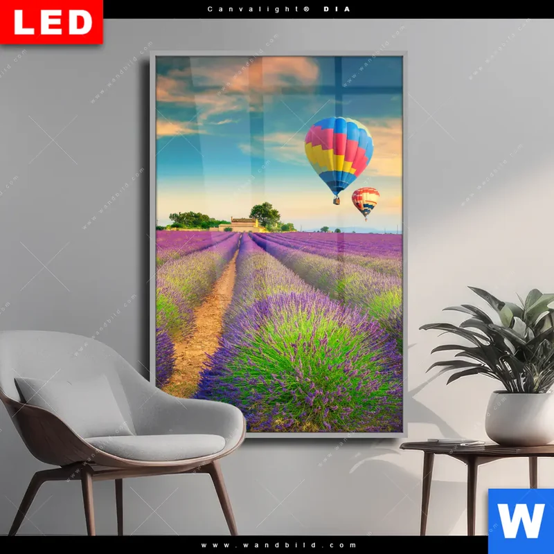 Wechselmotiv Acrylglas Canvalight® DIA | Heißluftballons über violetten Feldern | Hochformat