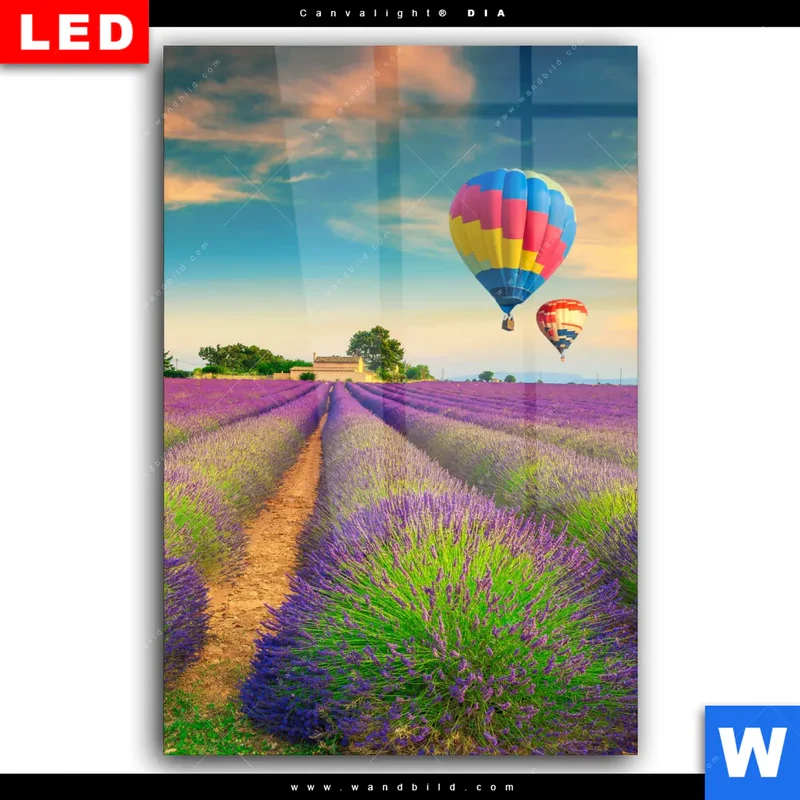 Wechselmotiv Acrylglas Canvalight® DIA | Heißluftballons über violetten Feldern | Hochformat