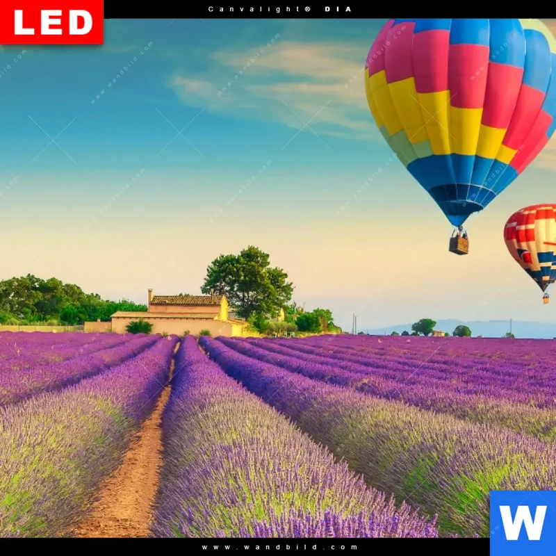Wechselmotiv Acrylglas Canvalight® DIA | Heißluftballons über violetten Feldern | Hochformat