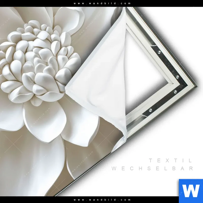 Spannbild | Weiße Blüte | Quadrat