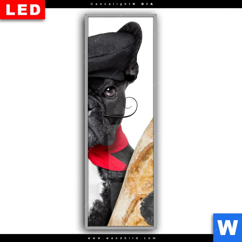 Leuchtbild Acrylglas Canvalight® DIA | Französischer Bulldoggen-Charme mit Baguette & Wein | Schmal
