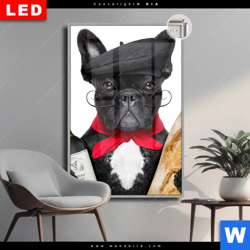 Leuchtbild Acrylglas Canvalight® DIA | Französischer Bulldoggen-Charme mit Baguette & Wein | Hochformat