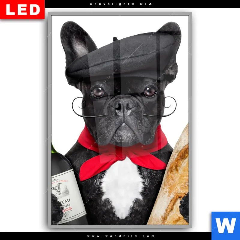 Leuchtbild Acrylglas Canvalight® DIA | Französischer Bulldoggen-Charme mit Baguette & Wein | Hochformat