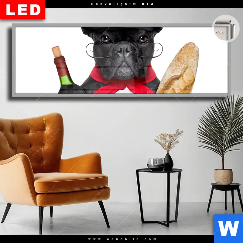 Leuchtbild Acrylglas Canvalight® DIA | Französischer Bulldoggen-Charme mit Baguette & Wein | Panorama