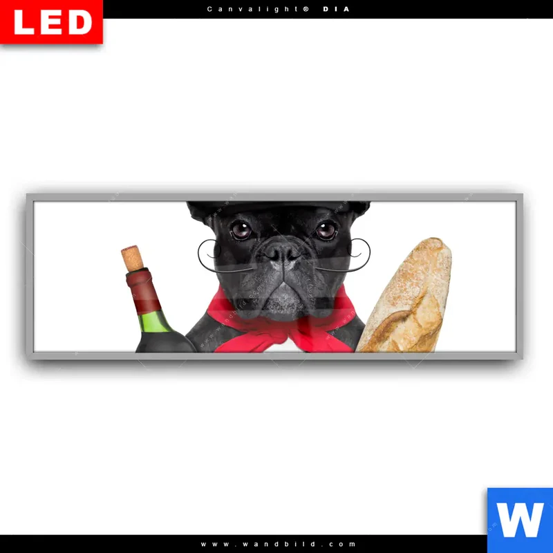 Leuchtbild Acrylglas Canvalight® DIA | Französischer Bulldoggen-Charme mit Baguette & Wein | Panorama