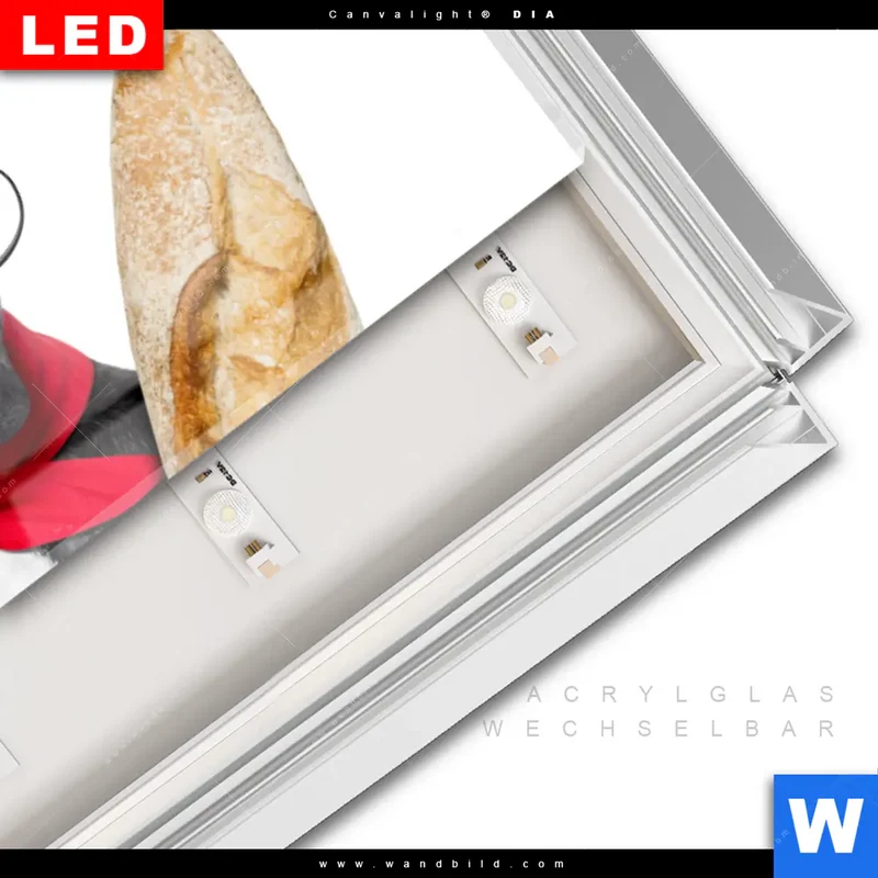 Leuchtbild Acrylglas Canvalight® DIA | Französischer Bulldoggen-Charme mit Baguette & Wein | Panorama