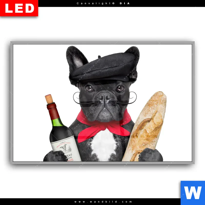 Leuchtbild Acrylglas Canvalight® DIA | Französischer Bulldoggen-Charme mit Baguette & Wein | Querformat