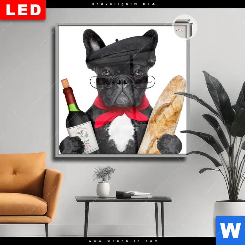 Leuchtbild Acrylglas Canvalight® DIA | Französischer Bulldoggen-Charme mit Baguette & Wein | Quadrat