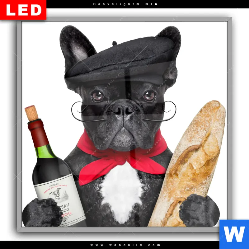Leuchtbild Acrylglas Canvalight® DIA | Französischer Bulldoggen-Charme mit Baguette & Wein | Quadrat