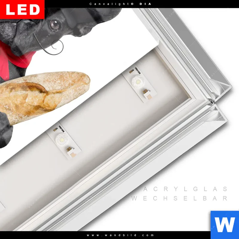 Leuchtbild Acrylglas Canvalight® DIA | Französischer Bulldoggen-Charme mit Baguette & Wein | Quadrat