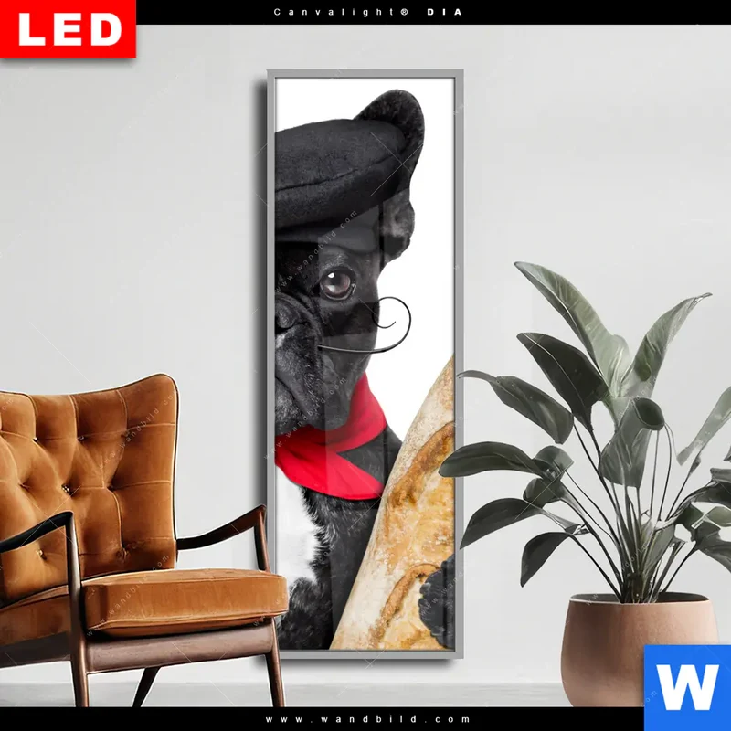 Wechselmotiv Acrylglas Canvalight® DIA | Französischer Bulldoggen-Charme mit Baguette & Wein | Schmal