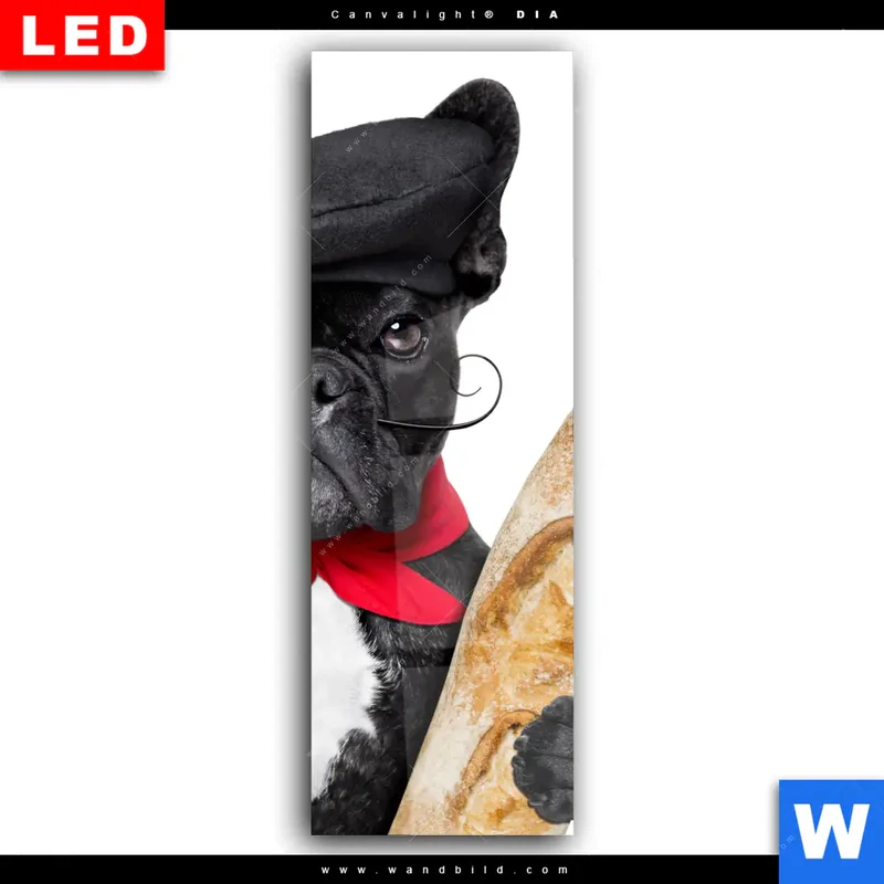 Wechselmotiv Acrylglas Canvalight® DIA | Französischer Bulldoggen-Charme mit Baguette & Wein | Schmal