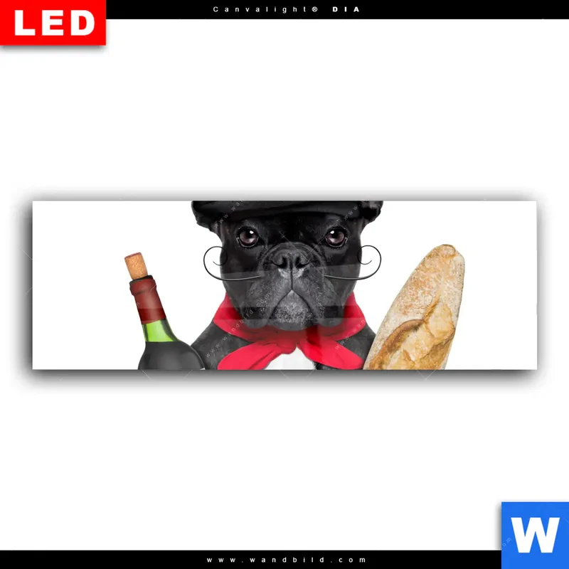 Wechselmotiv Acrylglas Canvalight® DIA | Französischer Bulldoggen-Charme mit Baguette & Wein | Panorama