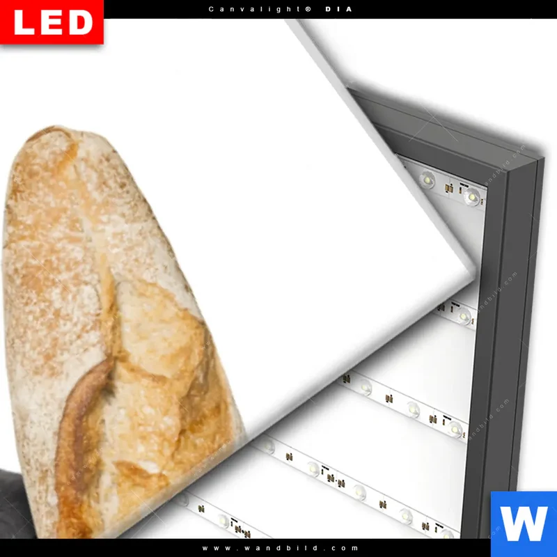 Wechselmotiv Acrylglas Canvalight® DIA | Französischer Bulldoggen-Charme mit Baguette & Wein | Panorama