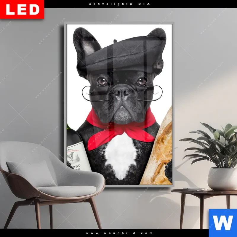 Wechselmotiv Acrylglas Canvalight® DIA | Französischer Bulldoggen-Charme mit Baguette & Wein | Hochformat