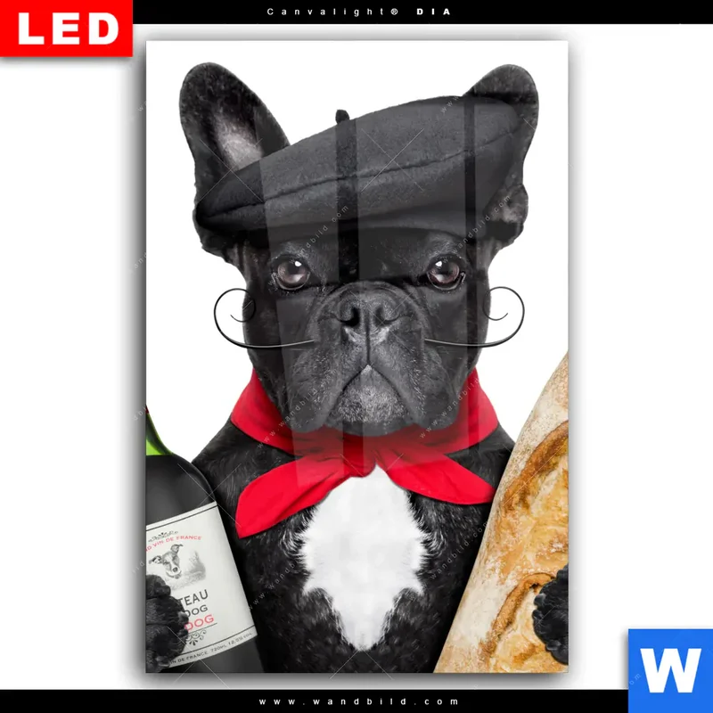 Wechselmotiv Acrylglas Canvalight® DIA | Französischer Bulldoggen-Charme mit Baguette & Wein | Hochformat