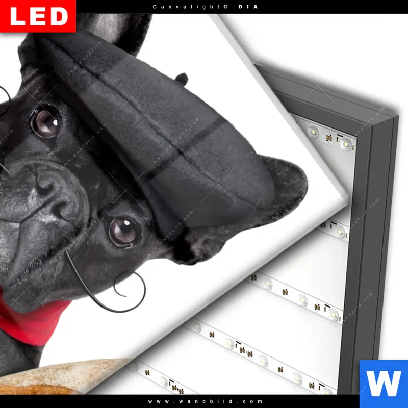 Wechselmotiv Acrylglas Canvalight® DIA | Französischer Bulldoggen-Charme mit Baguette & Wein | Hochformat