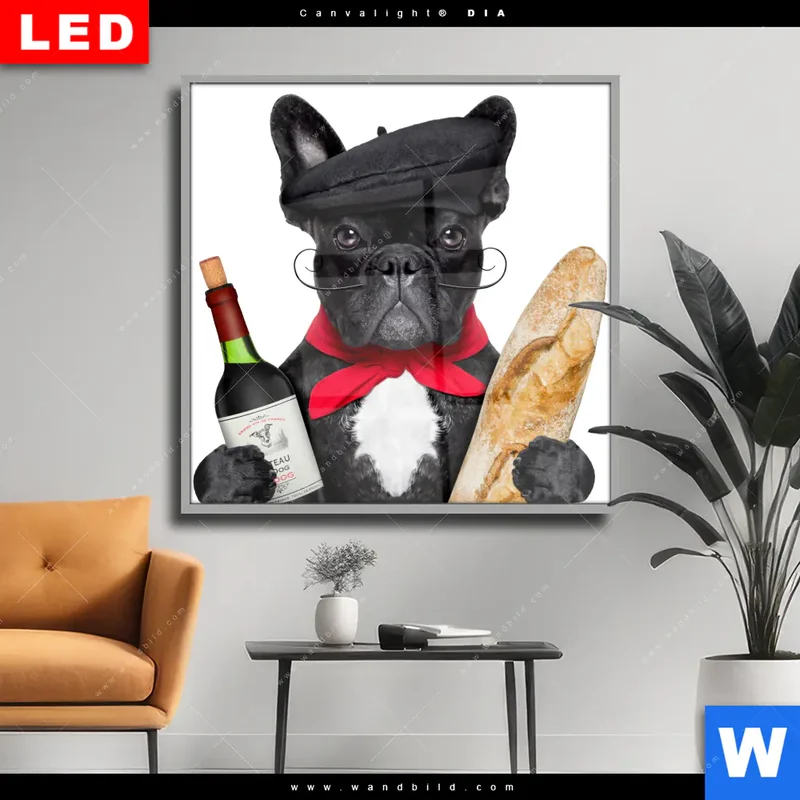 Wechselmotiv Acrylglas Canvalight® DIA | Französischer Bulldoggen-Charme mit Baguette & Wein | Quadrat