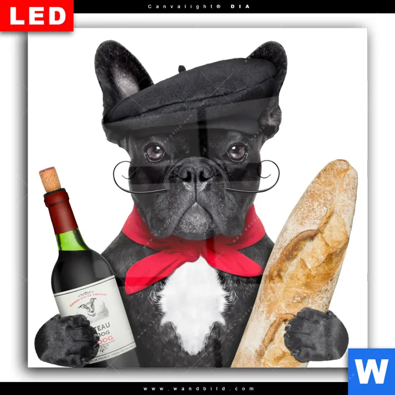 Wechselmotiv Acrylglas Canvalight® DIA | Französischer Bulldoggen-Charme mit Baguette & Wein | Quadrat