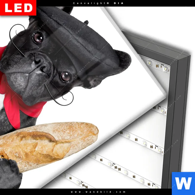 Wechselmotiv Acrylglas Canvalight® DIA | Französischer Bulldoggen-Charme mit Baguette & Wein | Quadrat