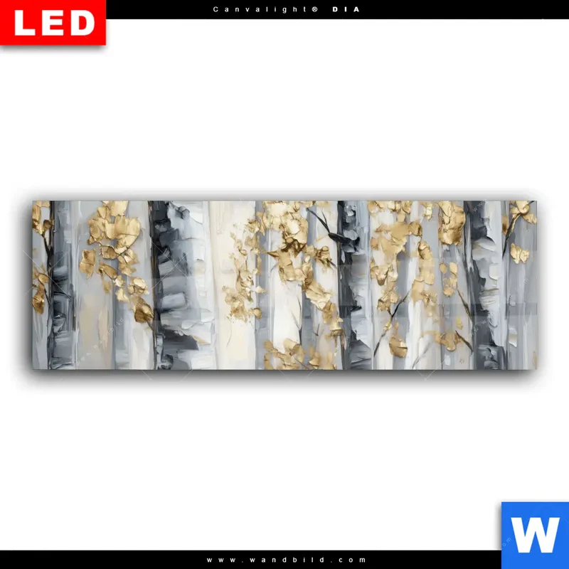 Wechselmotiv Acrylglas Canvalight® DIA | Stille im Wald | Panorama